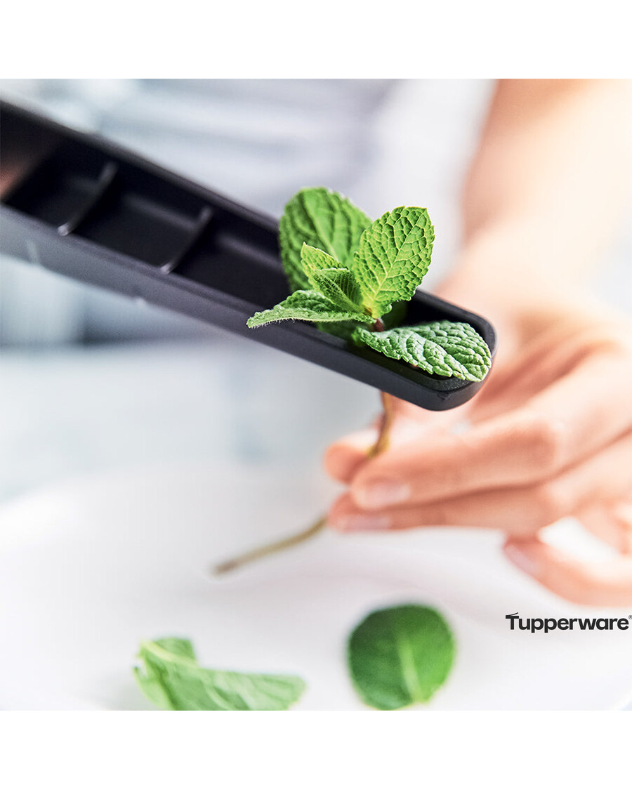 Tupperware Garlic Press