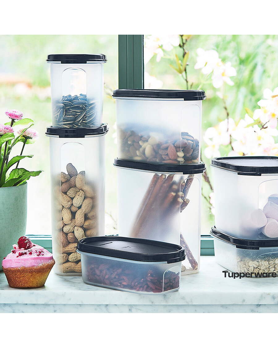 Tupperware Modular Mates® Oval 1