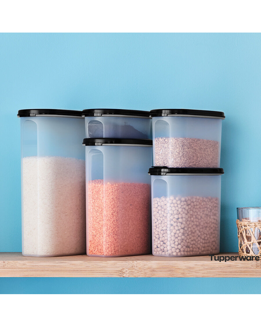 Tupperware Modular Mates® Oval 2