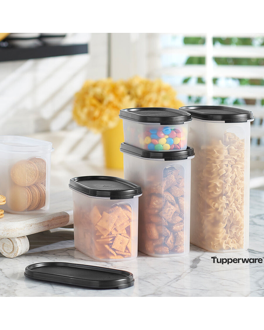 Tupperware Modular Mates® Ovale 4
