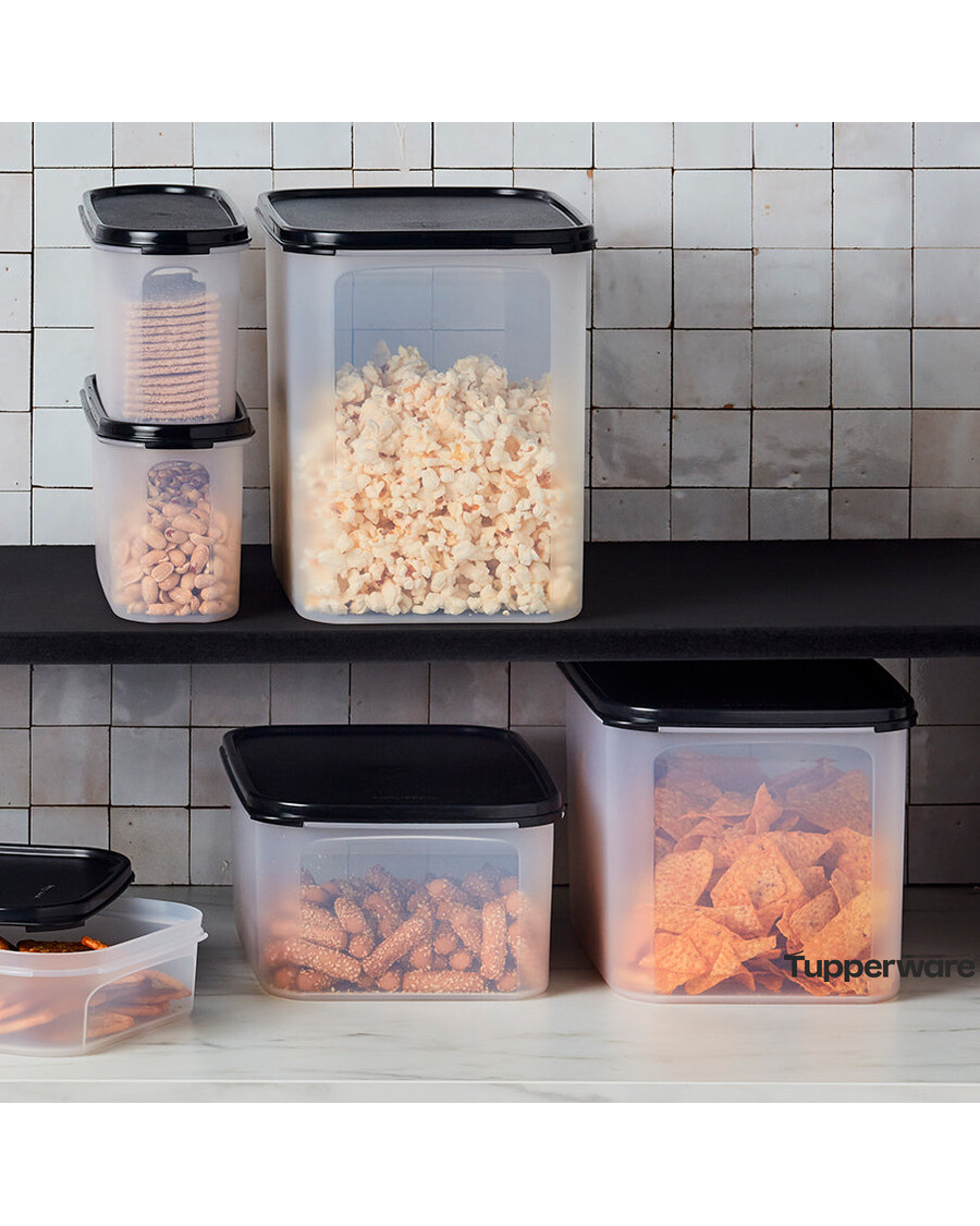 Tupperware Modular Mates® Rectangular 2