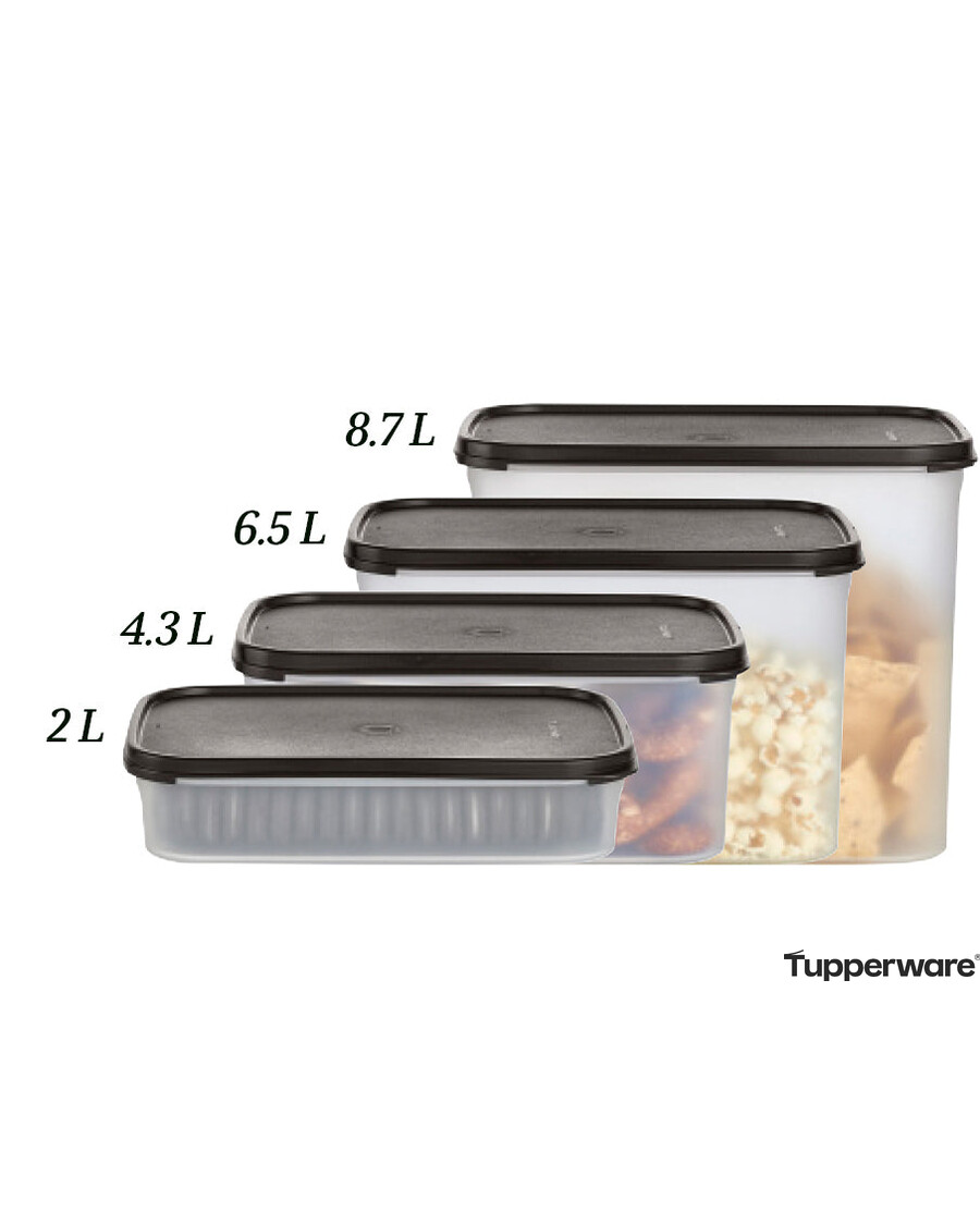 Tupperware Modular Mates® Rectangular 3