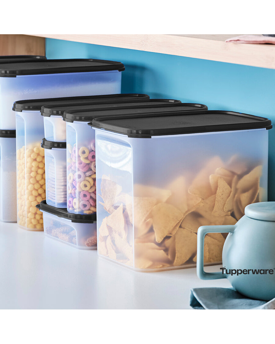 Tupperware Modular Mates® Rectangular 4