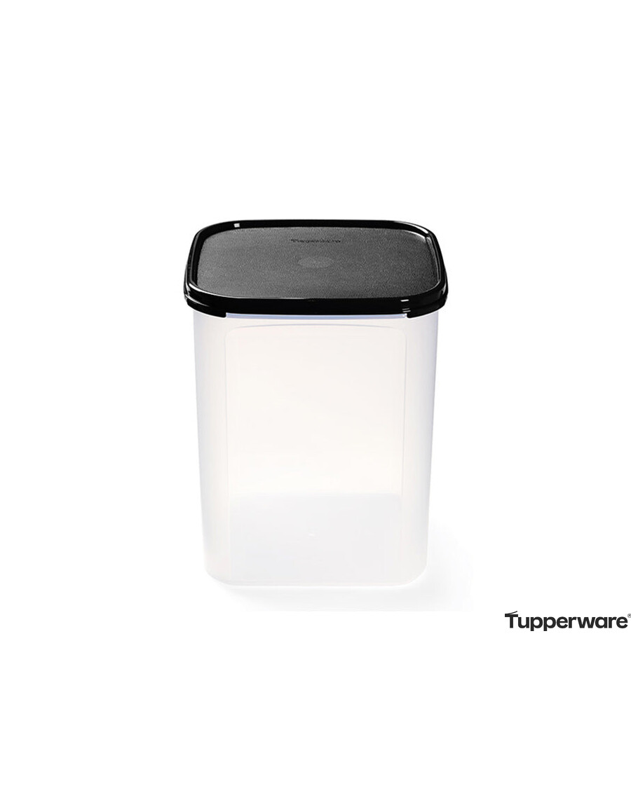 Tupperware Modular Mates® Square 4