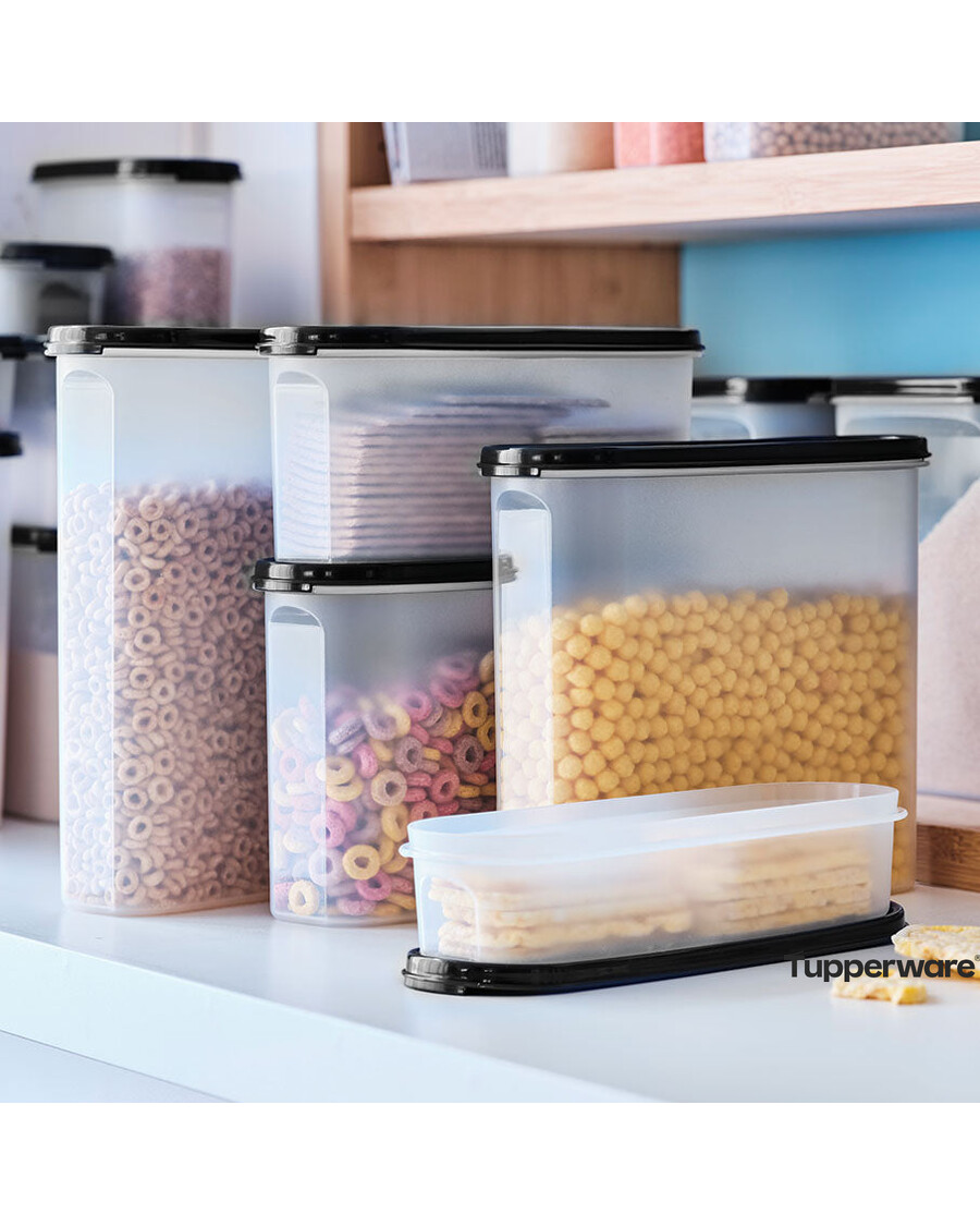 Tupperware Modular Mates® Super Oval & Rectangular Set