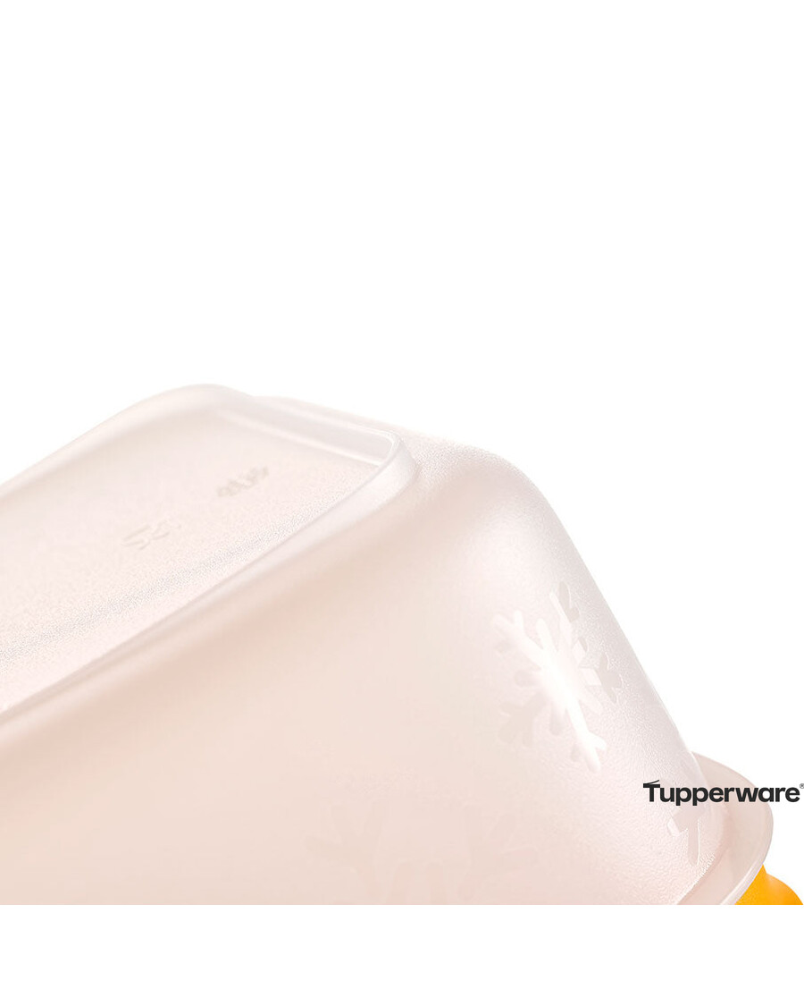 Tupperware Freezer Mates® Plus | Medium Deep