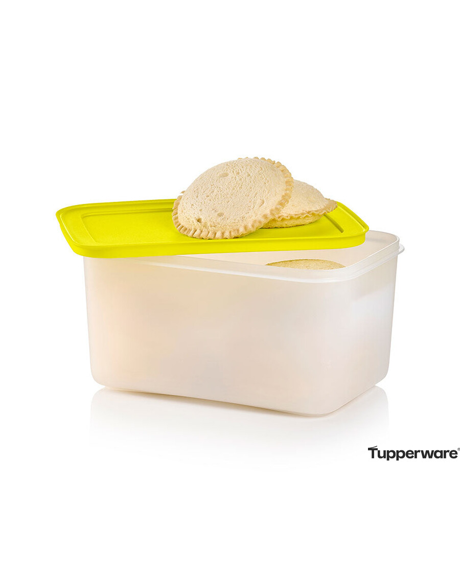Tupperware Freezer Mates® Plus | Medium Deep