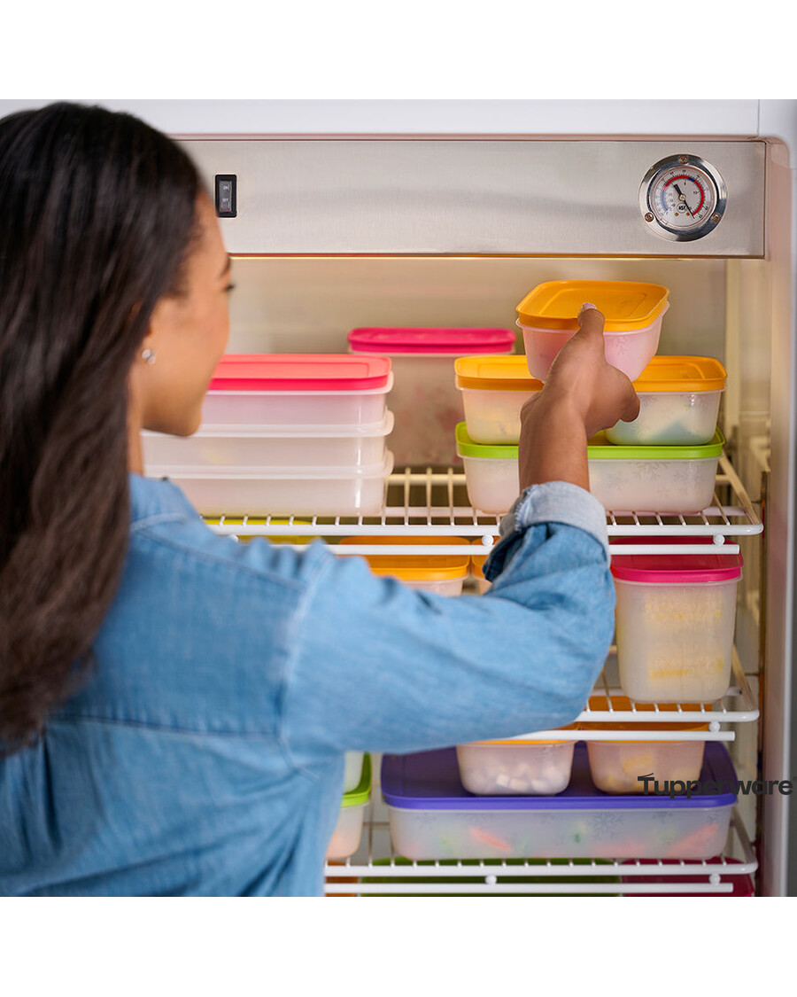 Tupperware Freezer Mates® Plus | Small Shallows