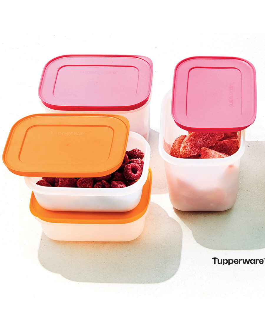Tupperware Freezer Mates® Plus | Small Shallows