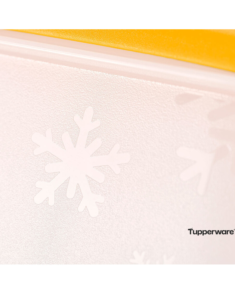 Tupperware Freezer Mates® Plus | Small Shallows