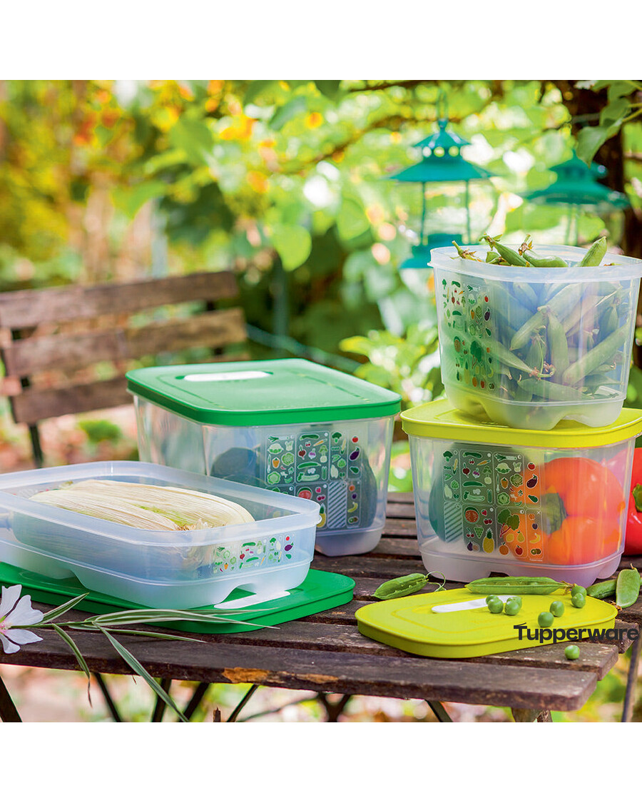 Tupperware FridgeSmart® | 4-piece Set