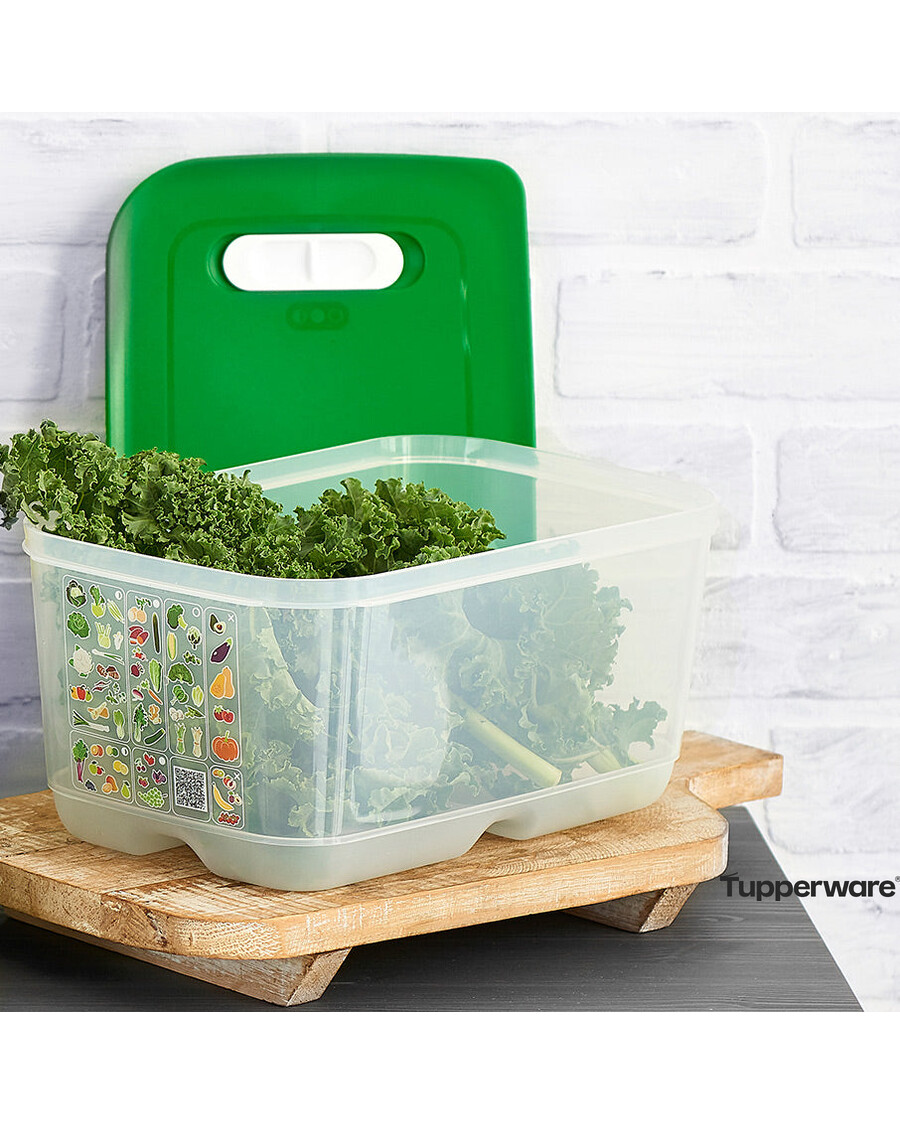 Tupperware FridgeSmart® Medium Deep