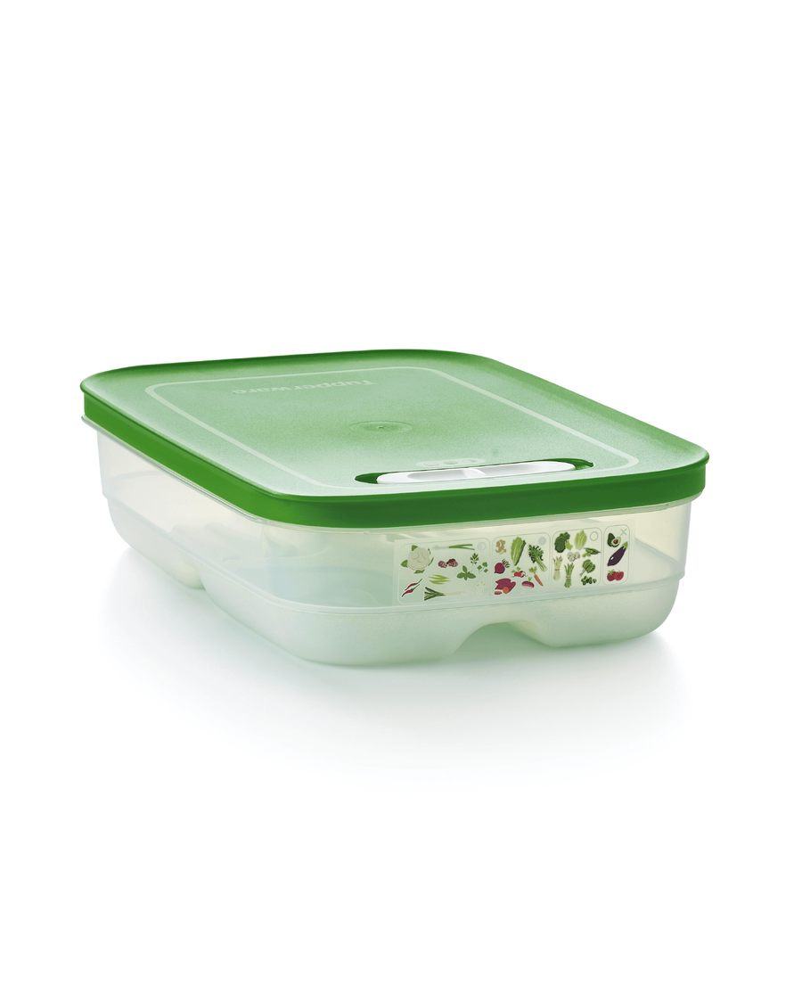 Tupperware FridgeSmart® Medium