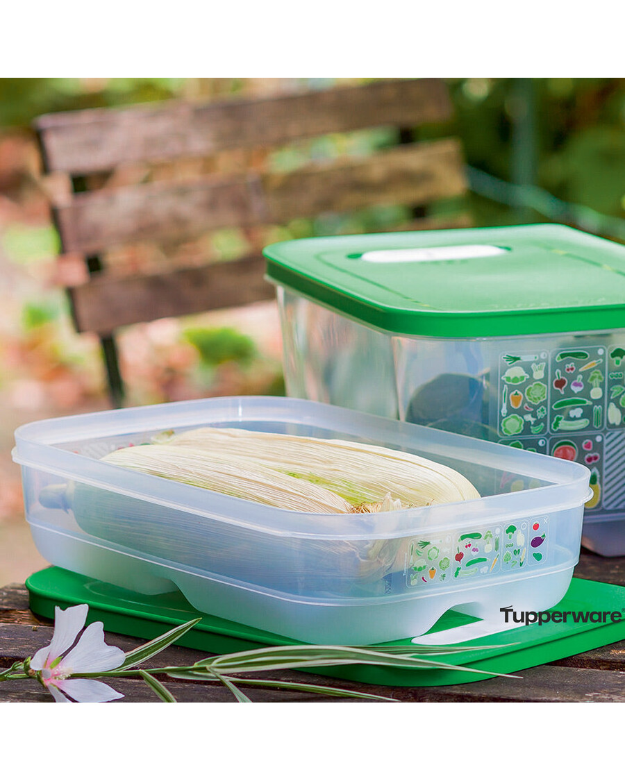 Tupperware FridgeSmart® Medium