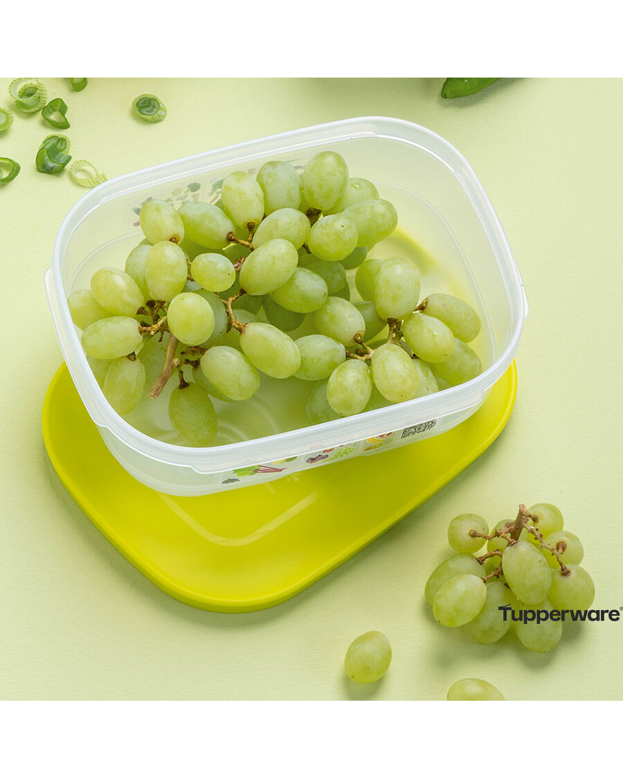 Tupperware FridgeSmart® Small