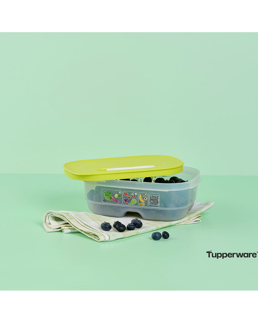 Tupperware FridgeSmart® Small