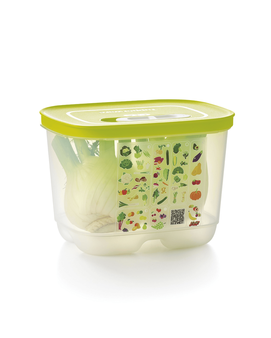 Tupperware FridgeSmart® Small Deep