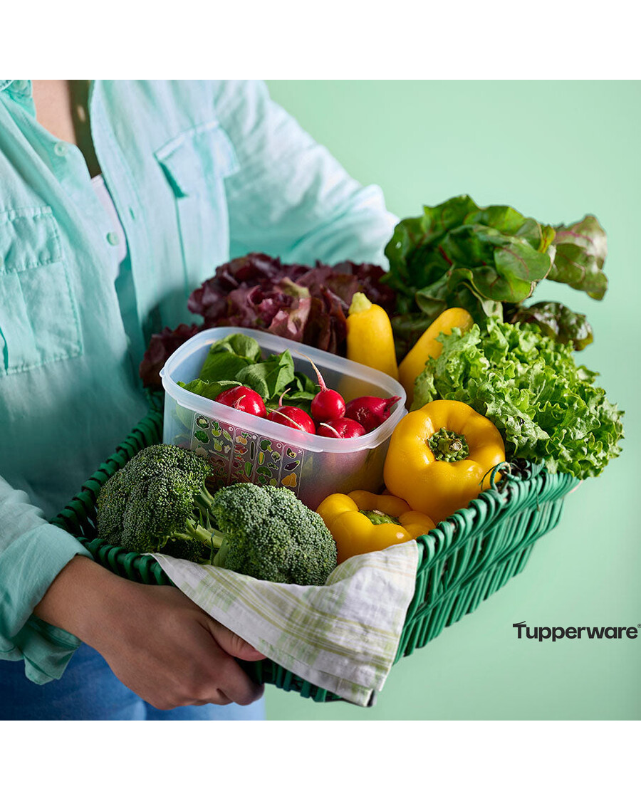 Tupperware FridgeSmart® Small Deep