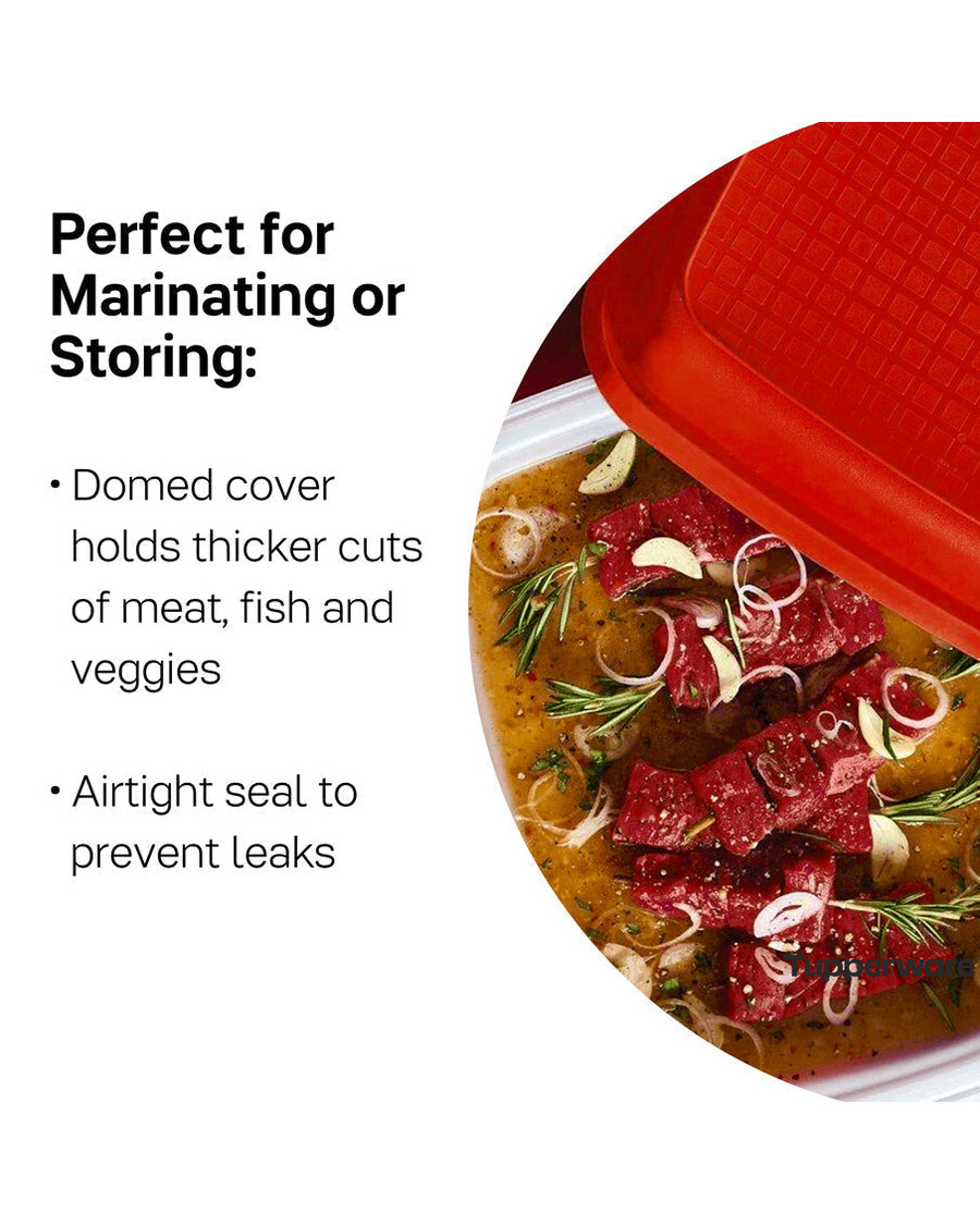 Tupperware Season-serve® Beholder