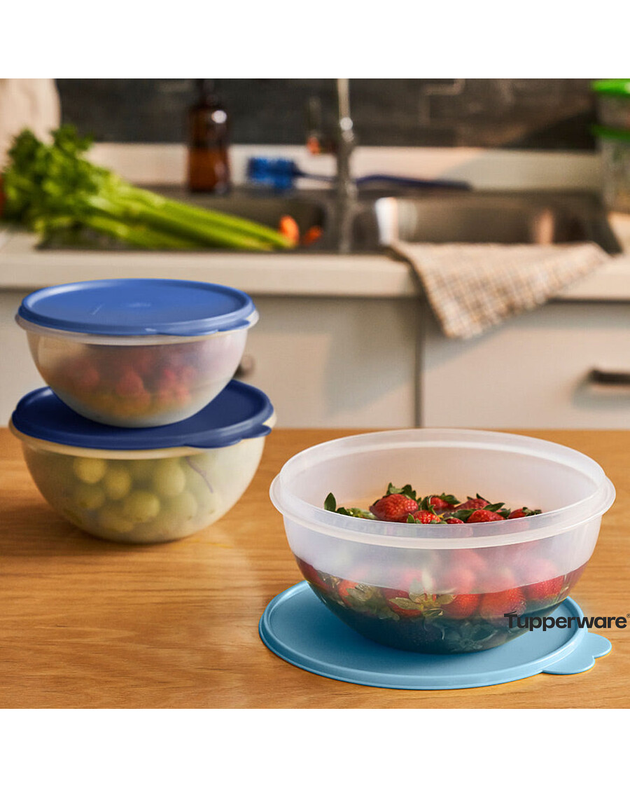 Tupperware Wonderlier® Bowl | 3-piece Set