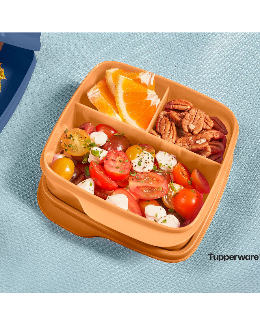 Tupperware Eco+ Lunch-It® Containers